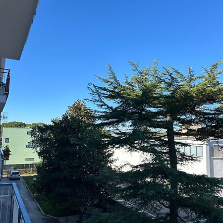 B&B Serangi - Il Piacere Di Sentirsi A Casa Cercola Esterno foto